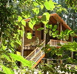 Rivers Edge Rainforest Retreat - Hervey Bay Accommodation
