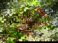 Rivers Edge Rainforest Retreat - Hervey Bay Accommodation 0