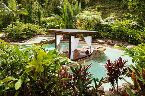 Misty Mountains Tropical Rainforest Romantic Retreat - Hervey Bay Accommodation 3
