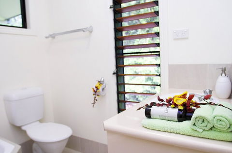 Misty Mountains Tropical Rainforest Romantic Retreat - Hervey Bay Accommodation 5