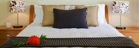 Misty Mountains Tropical Rainforest Romantic Retreat - Hervey Bay Accommodation 7