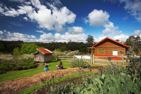 Elvenhome Farm Cottage - Hervey Bay Accommodation 6