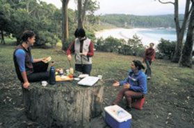 Fortescue Bay TAS Hervey Bay Accommodation