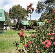 Derwent Bridge Chalets and Studios - Hervey Bay Accommodation