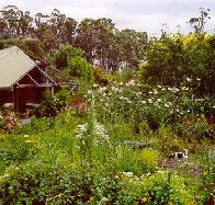 Plovers Ridge Country Retreat - Hervey Bay Accommodation