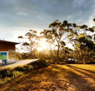 Bruny Island Experience - Hervey Bay Accommodation