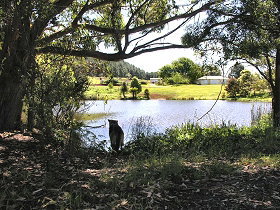 Lapoinya TAS Hervey Bay Accommodation