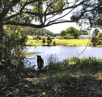 Newry Park Cottage - Hervey Bay Accommodation