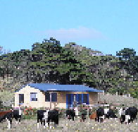 Marrawah Beach House - Hervey Bay Accommodation