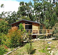 Southern Forest Accommodation - Hervey Bay Accommodation