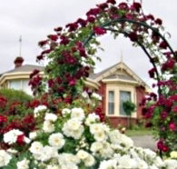 Golden Embers Apartments and B and B - Hervey Bay Accommodation