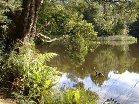 Weldborough Camping Ground - Hervey Bay Accommodation 0