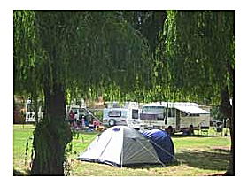 New Norfolk Caravan Park - Hervey Bay Accommodation 0