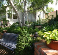 Topiary Haven - Hervey Bay Accommodation
