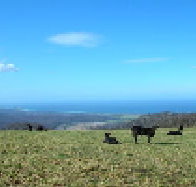 St Marys Seaview Farm - Tourism Hervey Bay
