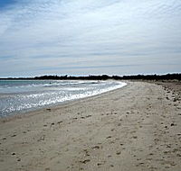 Greens Beach Caravan Park - Hervey Bay Accommodation