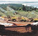 Morella Island Retreats P/L - Tourism Hervey Bay