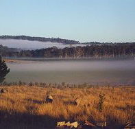Fonthill - Tourism Hervey Bay