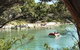 Crayfish Creek Van And Cabin Park And Spa House - thumb 0