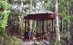 Telopea - thumb 0