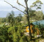 Partridge Farm - Hervey Bay Accommodation