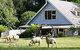 Hide-Away Cottage Retreat - thumb 0