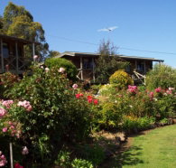 Mole Creek Holiday Village - Hervey Bay Accommodation