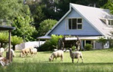 Hide-Away Cottage Retreat - Hervey Bay Accommodation 2