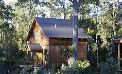 Cradle Mountain Highlanders - Hervey Bay Accommodation 1