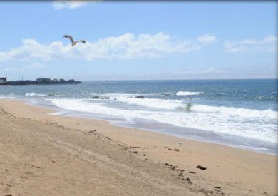 Comfort Hotel Burnie - Hervey Bay Accommodation 3