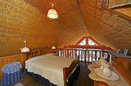 Forget-Me-Not Cottage - Hervey Bay Accommodation 4