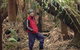 Forest Walks Lodge - Eco-Accommodation - thumb 3