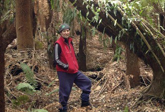 Forest Walks Lodge - Eco-Accommodation - Hervey Bay Accommodation 3