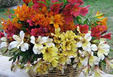 Huon Valley Bed And Breakfast - Tourism Hervey Bay 3
