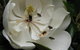 Huon Valley Bed And Breakfast - thumb 5