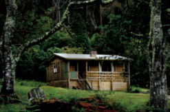 Mountain Valley Wilderness Holidays - Hervey Bay Accommodation 1