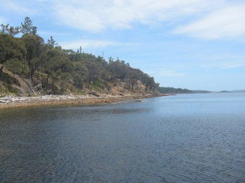 Bruny Island Villas - Wayaree - Hervey Bay Accommodation 1