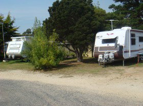 Somerset Beachside Cabin And Caravan Park - Hervey Bay Accommodation 2