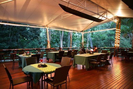 Cedar Park Rainforest Resort - Hervey Bay Accommodation 5