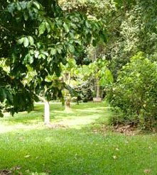 Julatten QLD Hervey Bay Accommodation