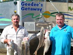 Gee Dees Family Cabins - Hervey Bay Accommodation 4