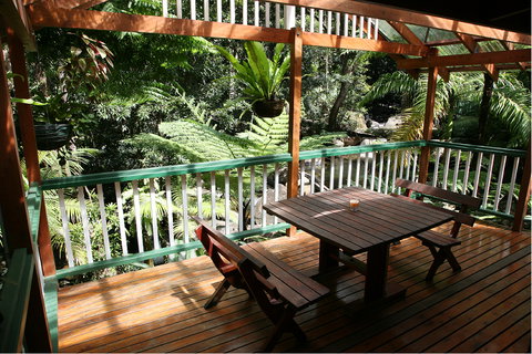 Daintree Secrets (Award Winning Retreat) - Hervey Bay Accommodation 3
