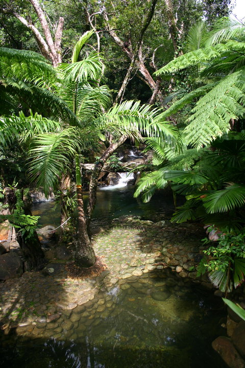 Daintree Secrets (Award Winning Retreat) - Hervey Bay Accommodation 4