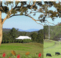 Barking Owl Retreat - Hervey Bay Accommodation