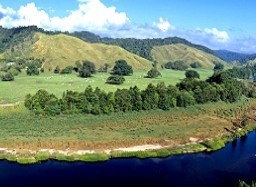 Tranquility On The Daintree - Hervey Bay Accommodation 2