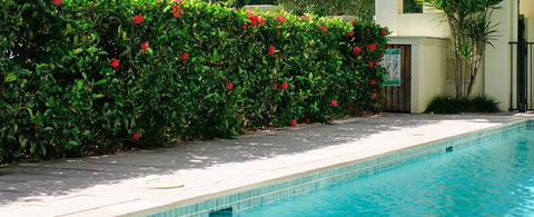 Cairns Beachfront Apartment - Hervey Bay Accommodation 5