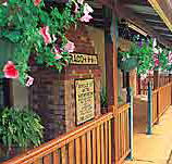 Curtain Fig Motel - Hervey Bay Accommodation