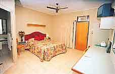 Curtain Fig Motel - Hervey Bay Accommodation 2