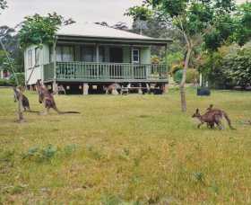 Berringer Lake Holiday Cottages - Hervey Bay Accommodation 0