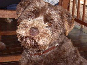 Lagoon Pocket Bed And Breakfast - Hervey Bay Accommodation 0